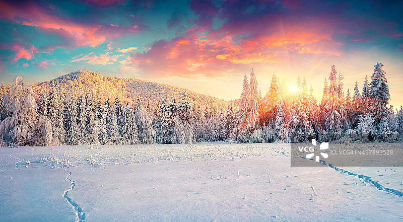 喀尔巴阡山脉五彩缤纷的冬季全景。图片素材