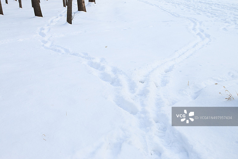 雪地里的脚印图片素材