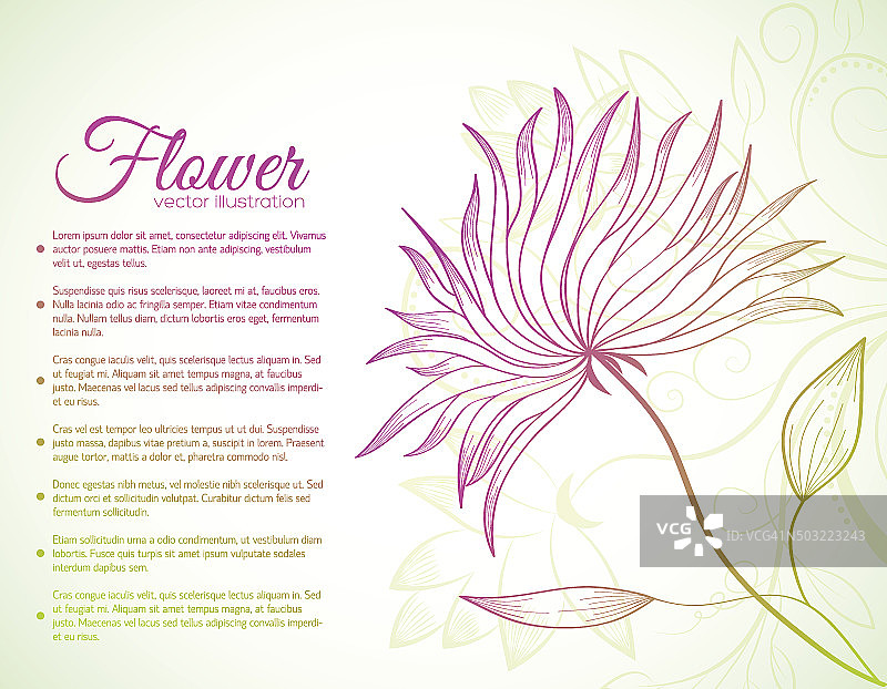 花卉背景概念线条风格图片素材