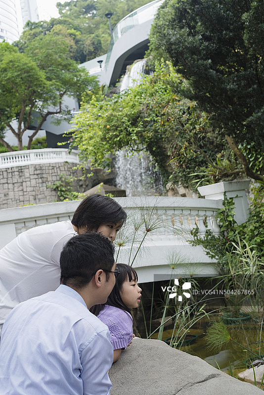 中国家庭看龟和鱼，香港公园图片素材