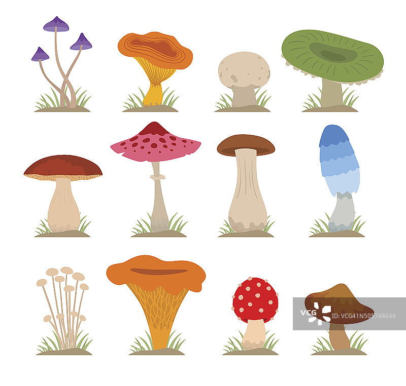 蘑菇矢量插图集图片素材
