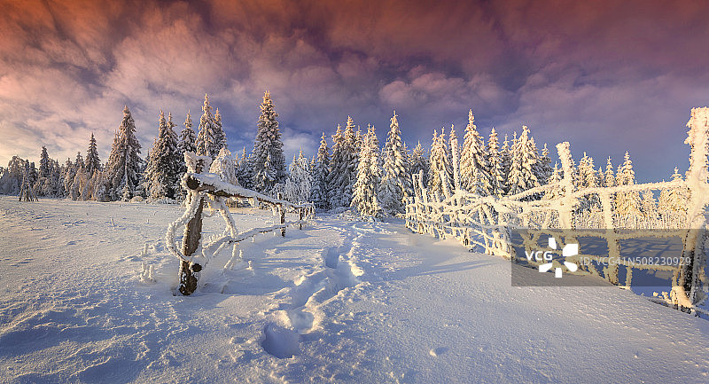 山上五颜六色的冬日早晨图片素材