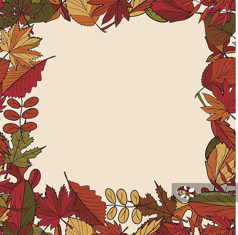 秋叶的图案。无缝的框架。图片素材