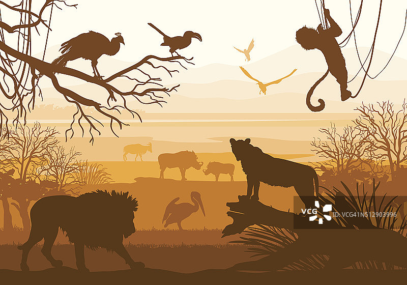野生动物(狮子、野猪、山羊、鸬鹚、猴子、孔雀)图片素材