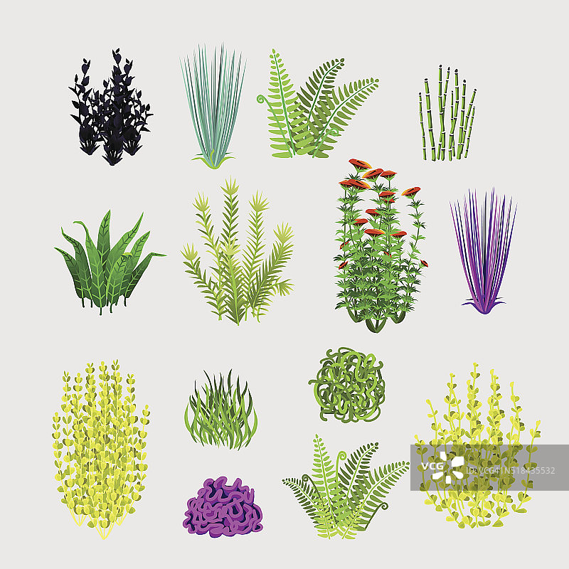 多种植物，大set 14图标图片素材