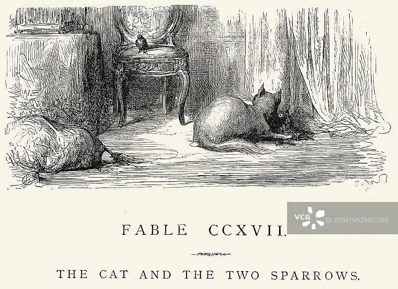 拉封丹的寓言——猫和两只麻雀图片素材