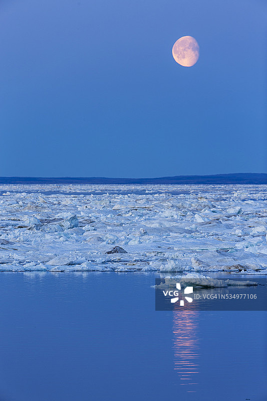 满月和融化的海冰，浅水湾，努勒维特领土，加拿大图片素材