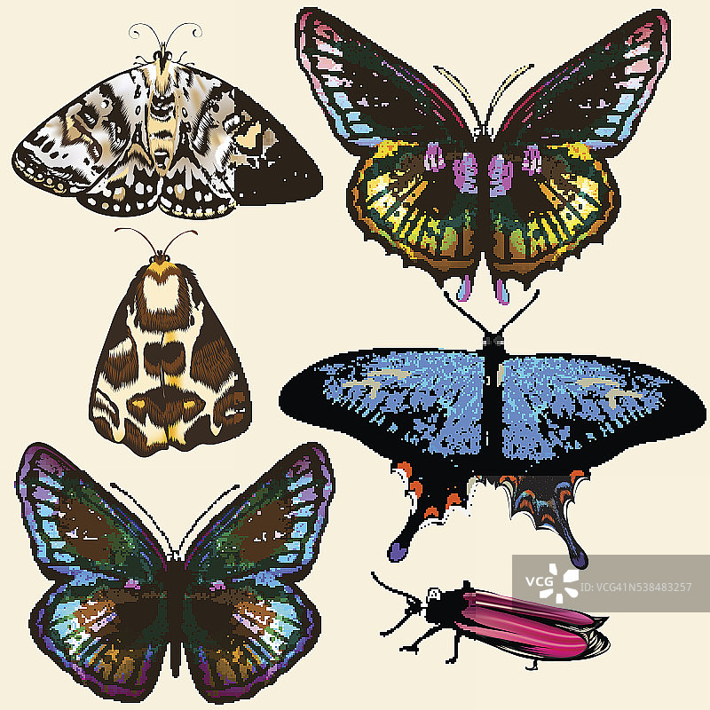 收集矢量彩色蝴蝶在复古风格图片素材