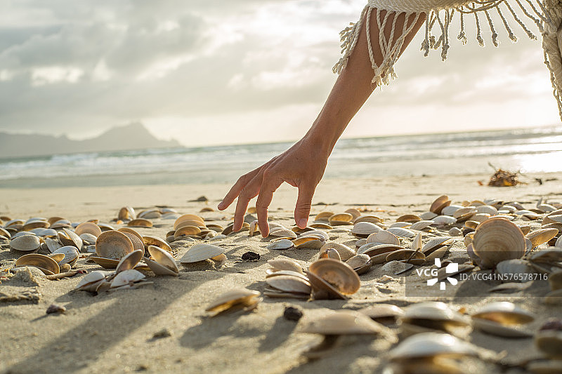 日落时分，一个女人的手在海滩上捡贝壳图片素材