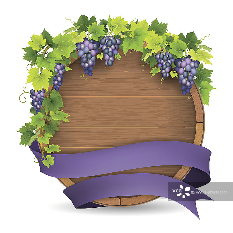 桶葡萄紫带图片素材