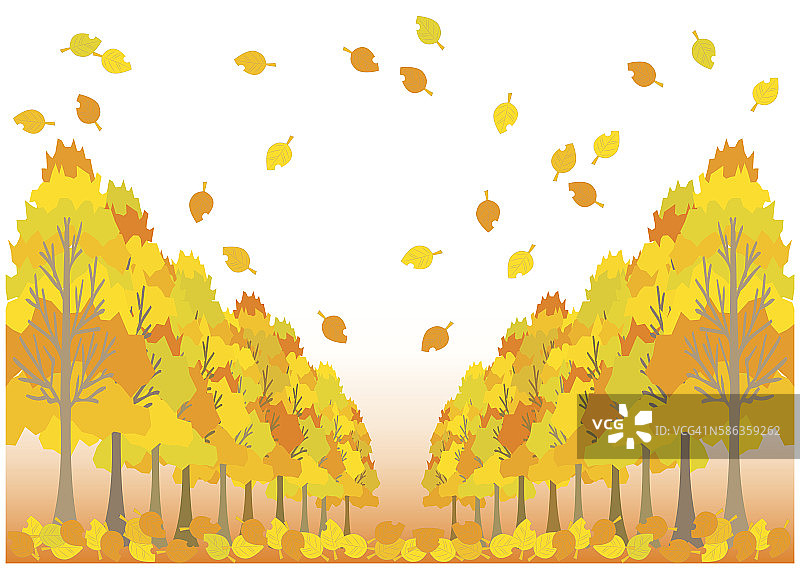 秋天树叶(type01)图片素材