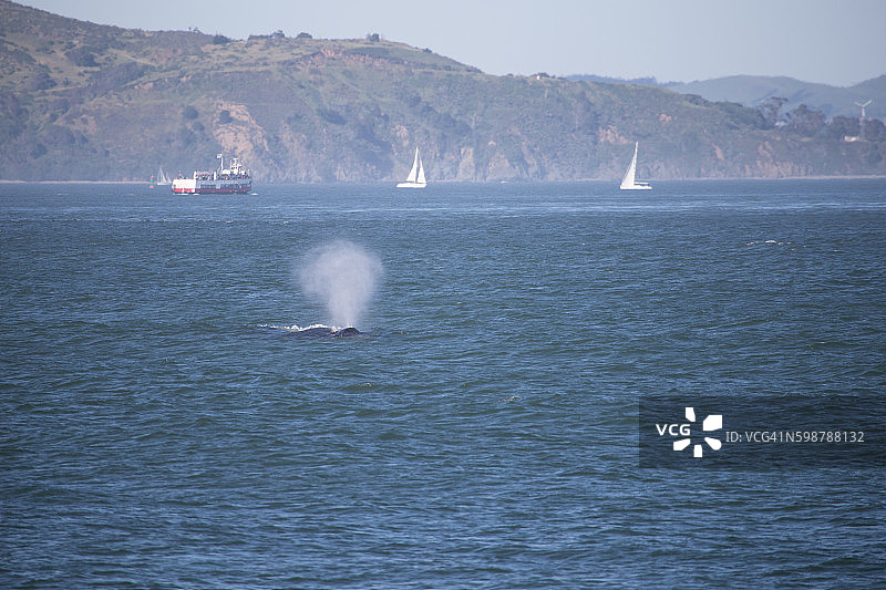 鲸鱼喷水图片素材