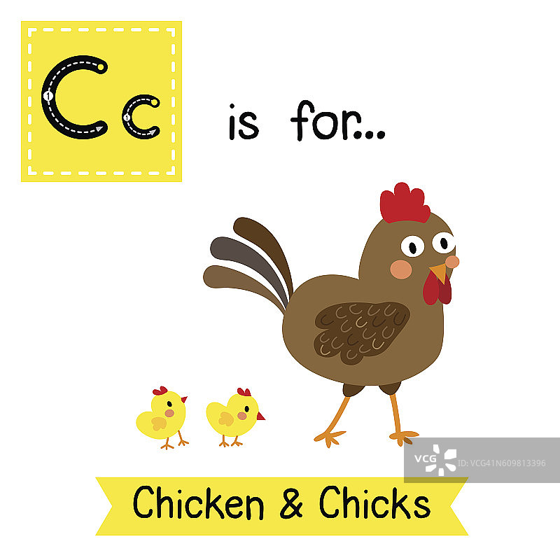 字母C跟踪。鸡和小鸡图片素材