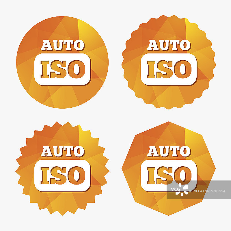 ISO自动拍照相机标志图标。设置的象征。图片素材