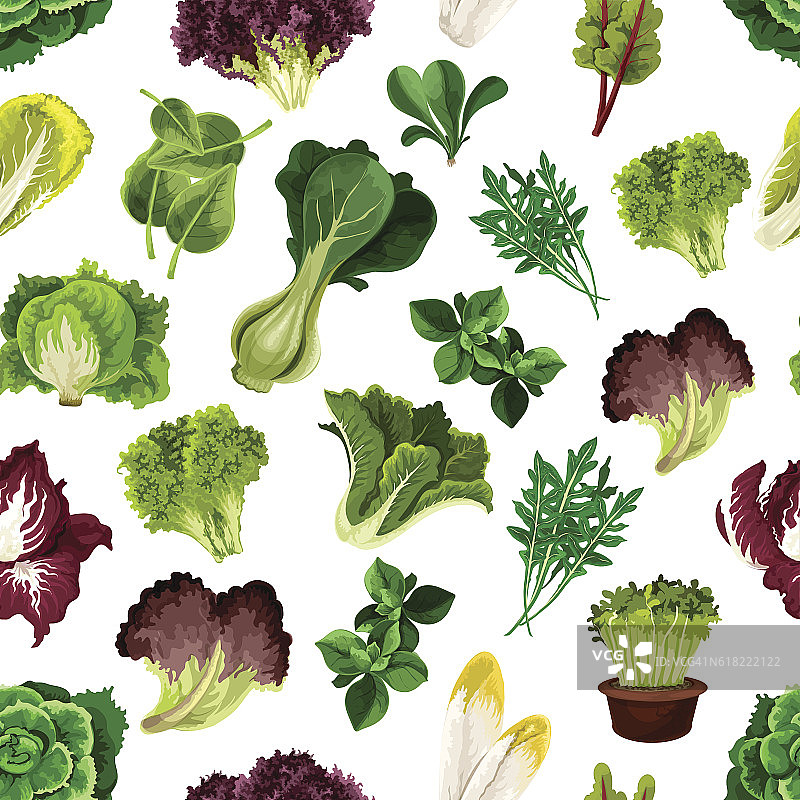 沙拉蔬菜和绿叶蔬菜图案图片素材