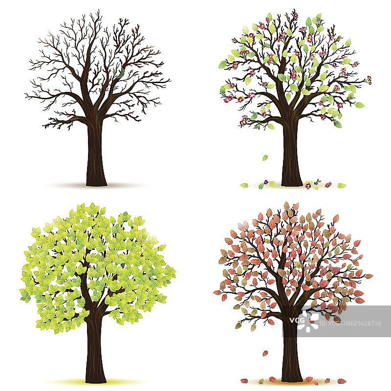 四季树向量图片素材