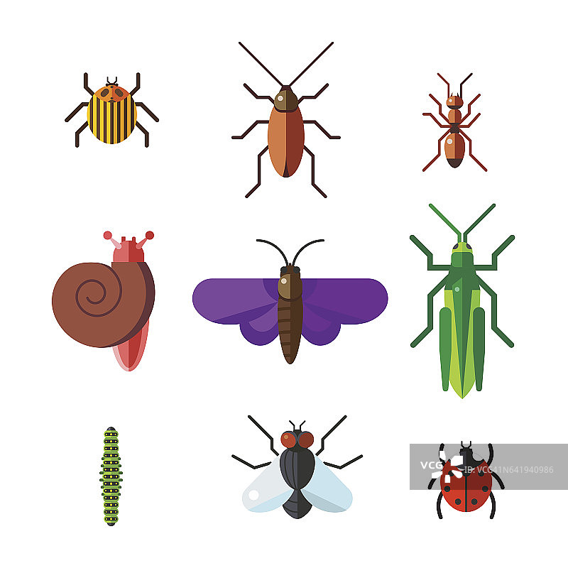 昆虫图标平面设置孤立的白色背景图片素材