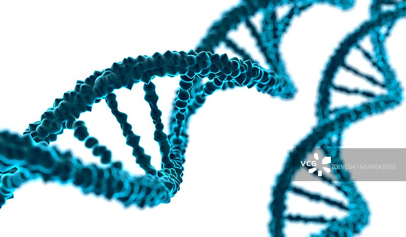 在白色背景上的DNA分子的3D渲染插图。图片素材