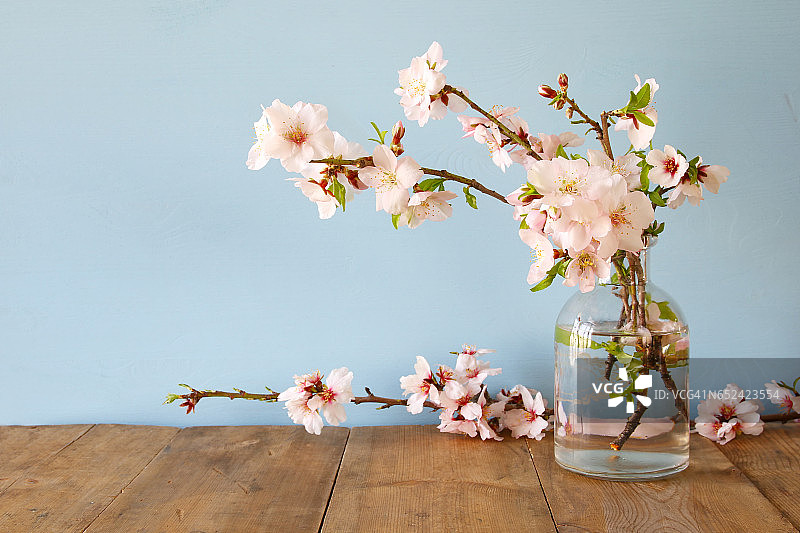 春天樱花树枝的花束图片素材