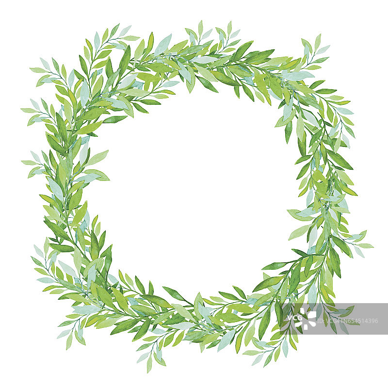 橄榄枝花环孤立在白色背景上。图片素材