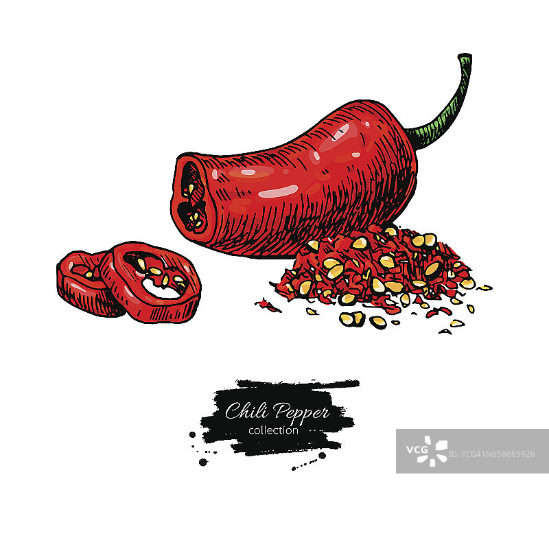 辣椒手绘矢量插图。蔬菜艺术风格对象。孤立的辣味图片素材