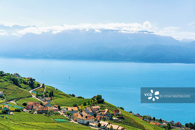 拉沃葡萄园梯田，日内瓦湖和瑞士山脉图片素材