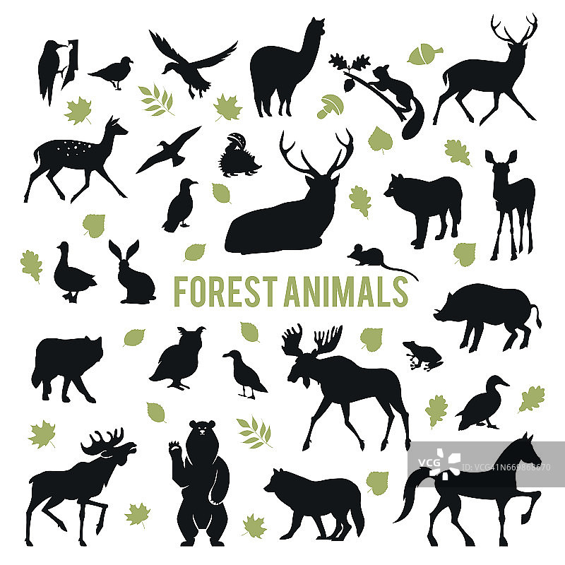 森林动物的剪影。图片素材