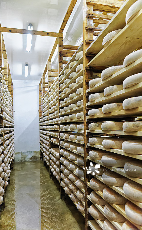 在成熟的地窖里存放奶酪的货架图片素材