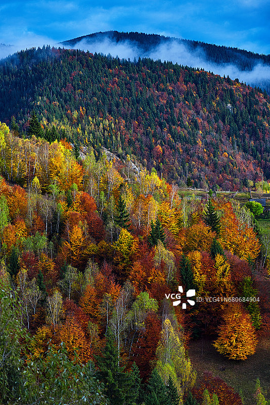 秋季自然背景图片素材