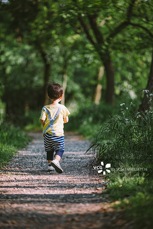 小男孩在森林里的小路上行走的后视图图片素材