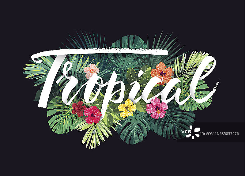夏季夏威夷矢量设计与异国情调的棕榈叶，木槿花和字母卡片或传单图片素材