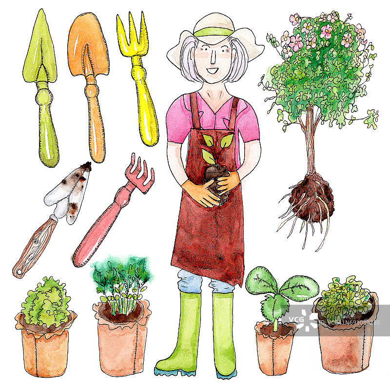 女人，种子和园艺工具-水彩画在白色的背景，设置图片素材