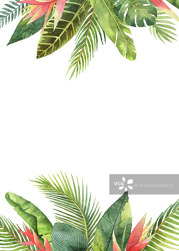 水彩矩形框架热带树叶和树枝孤立在白色的背景。图片素材