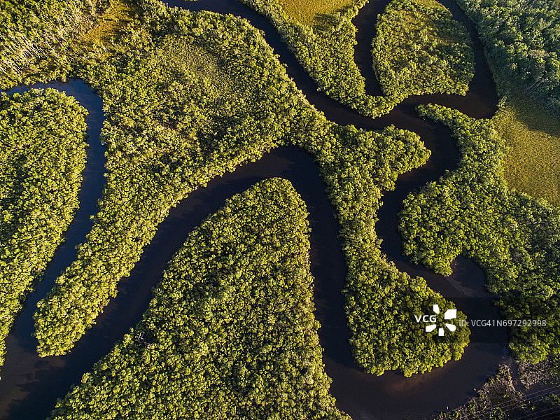 巴西热带雨林鸟瞰图图片素材