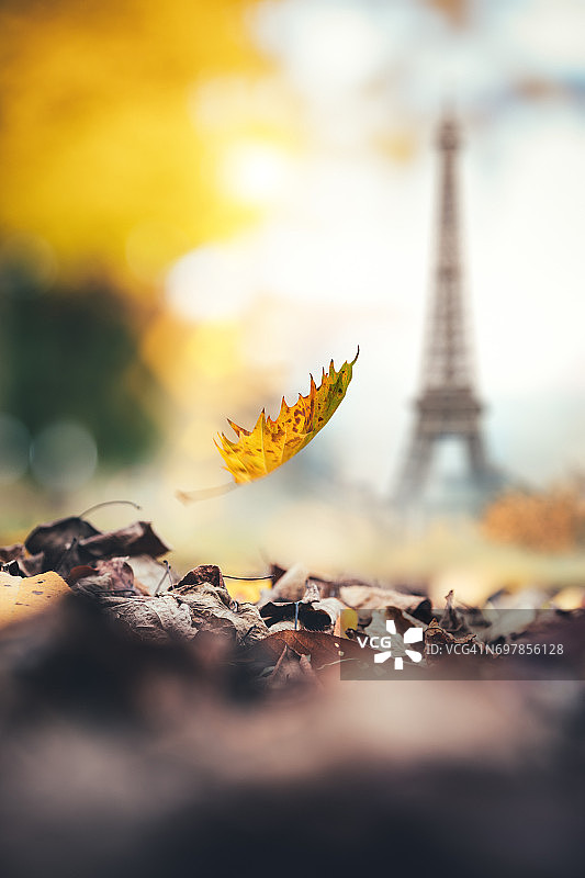秋天在巴黎图片素材