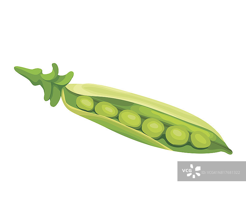 豌豆矢量图标，手绘绿色蔬菜草图，模板图片素材