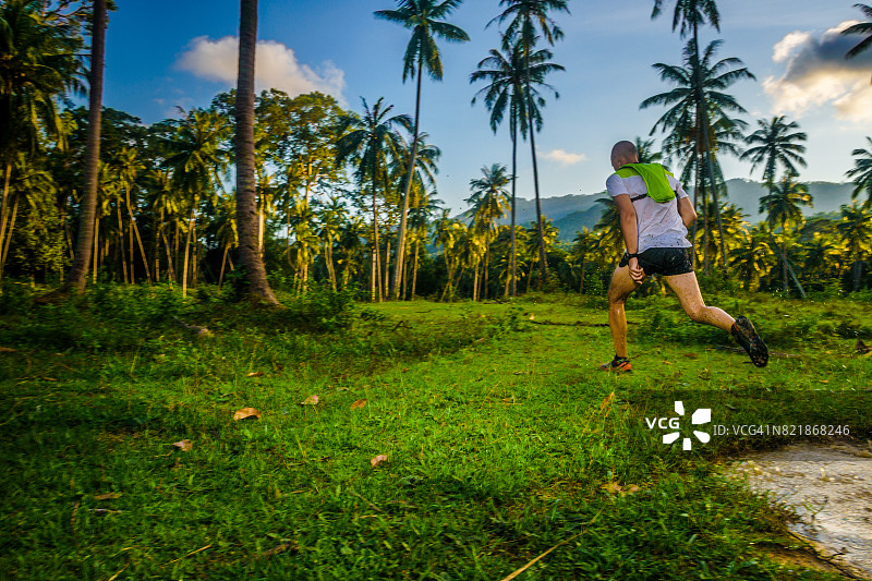在热带雨林中慢跑图片素材