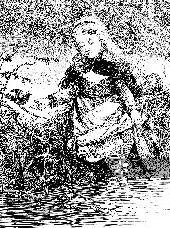 小女孩把她的脚挂在小溪里和小鸟玩耍图片素材