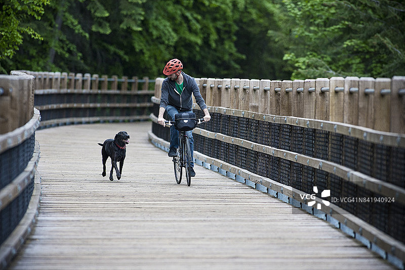 一个男人在森林里骑着他的自行车和他的狗在一座木制的人行桥上。图片素材