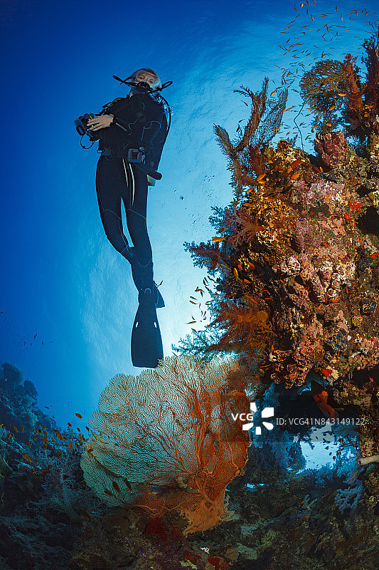 潜水员正在探索和享受珊瑚礁海洋生命运动妇女水下照片图片素材