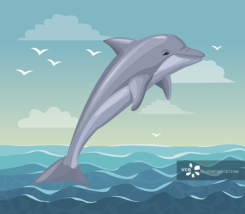 彩色海报海边与海豚哺乳动物在海洋图片素材