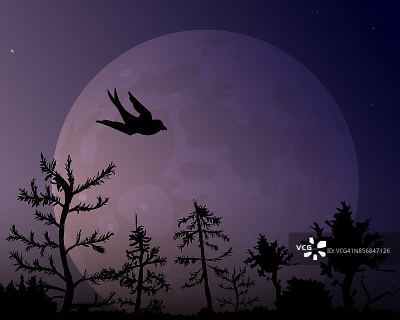月亮背景下的森林和鸟的剪影。图片素材