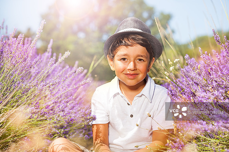 可爱的男孩坐在薰衣草田在阳光灿烂的一天图片素材