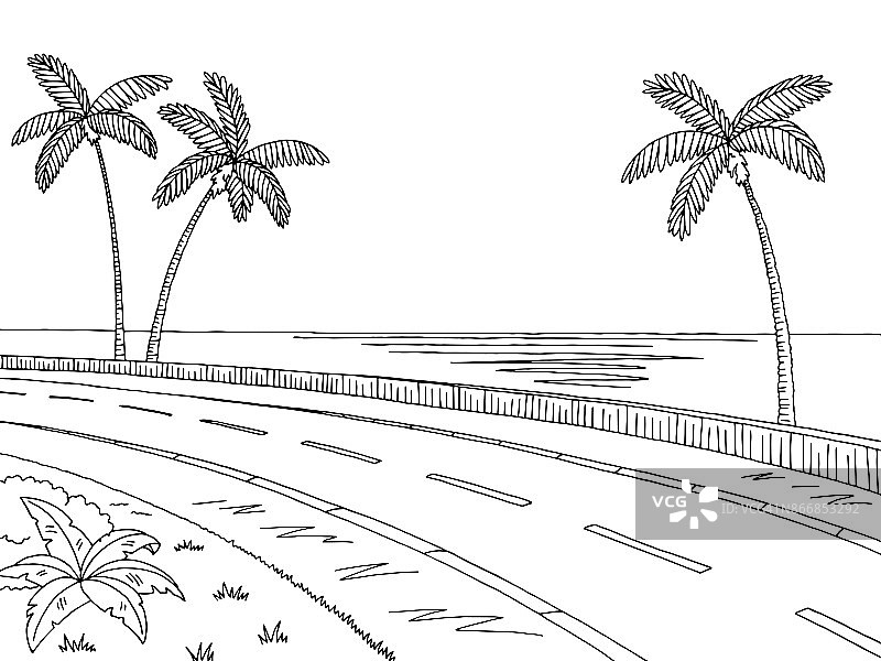 街道道路图形棕榈树黑白景观素描插图向量图片素材