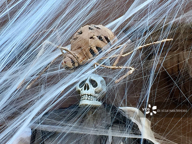 《蜘蛛网和骷髅》在布鲁克林附近图片素材