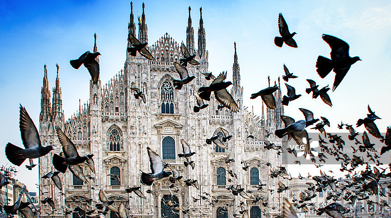 鸽子在空中对抗米兰大教堂，意大利图片素材