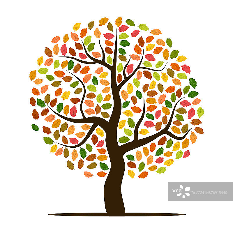 秋天的树有黄色，橙色，棕色和绿色的叶子图片素材