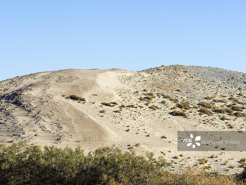 蓝天下的沙丘和植被，满月当空。卡波德加塔-尼贾尔自然公园，卡拉蒙苏尔，生物圈保护区，阿尔梅里亚，安达卢西亚，西班牙。图片素材