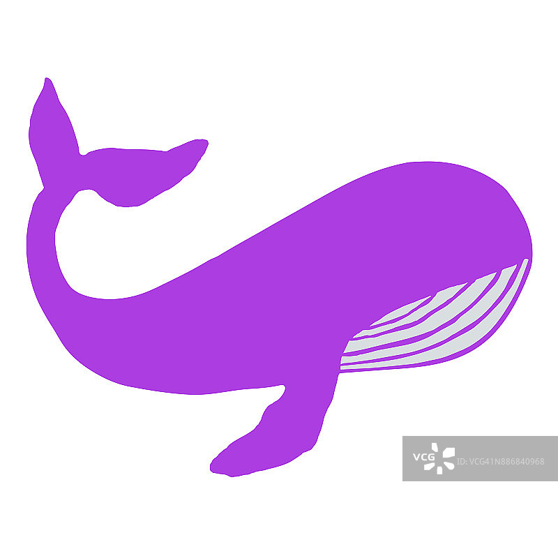 紫色的鲸鱼。矢量手绘插图图片素材