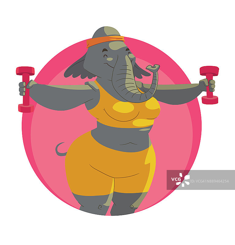圆形框架，健身房里的动物:大象图片素材
